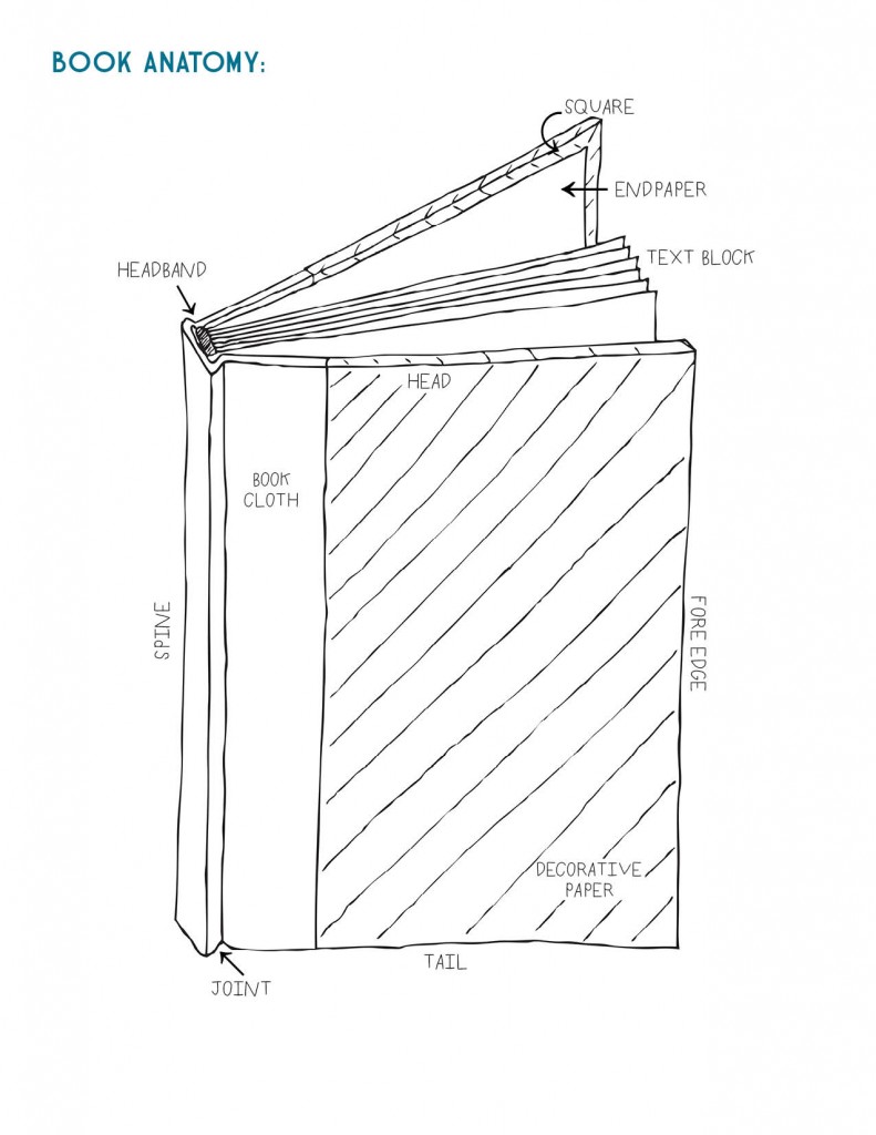 flatbackkit-directions3