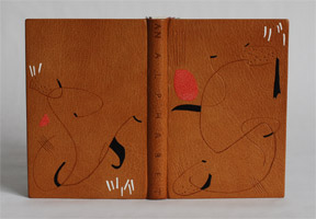 Front cover of n Alphabet binding.