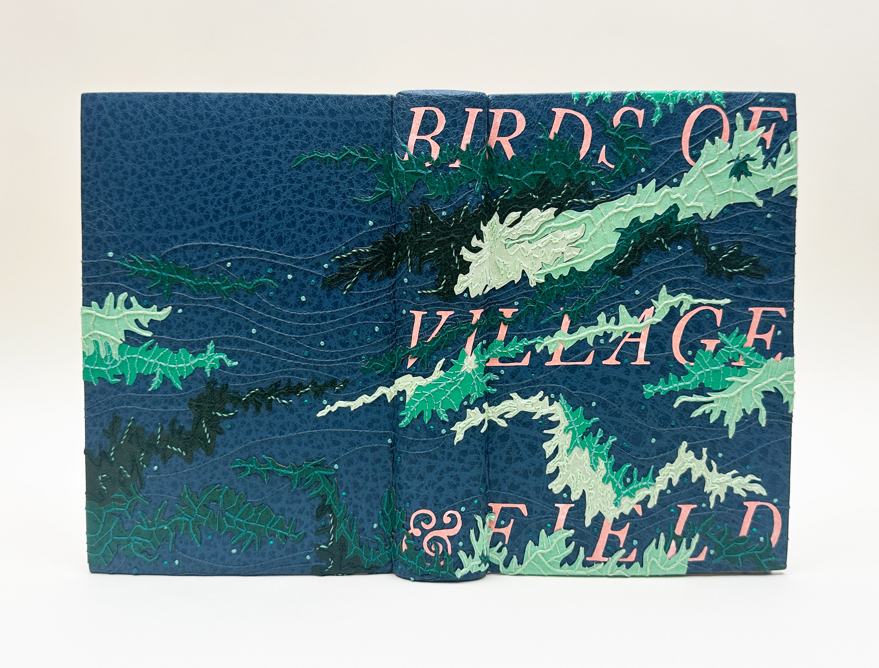 Binding of Birds of Village and Field on a white background.