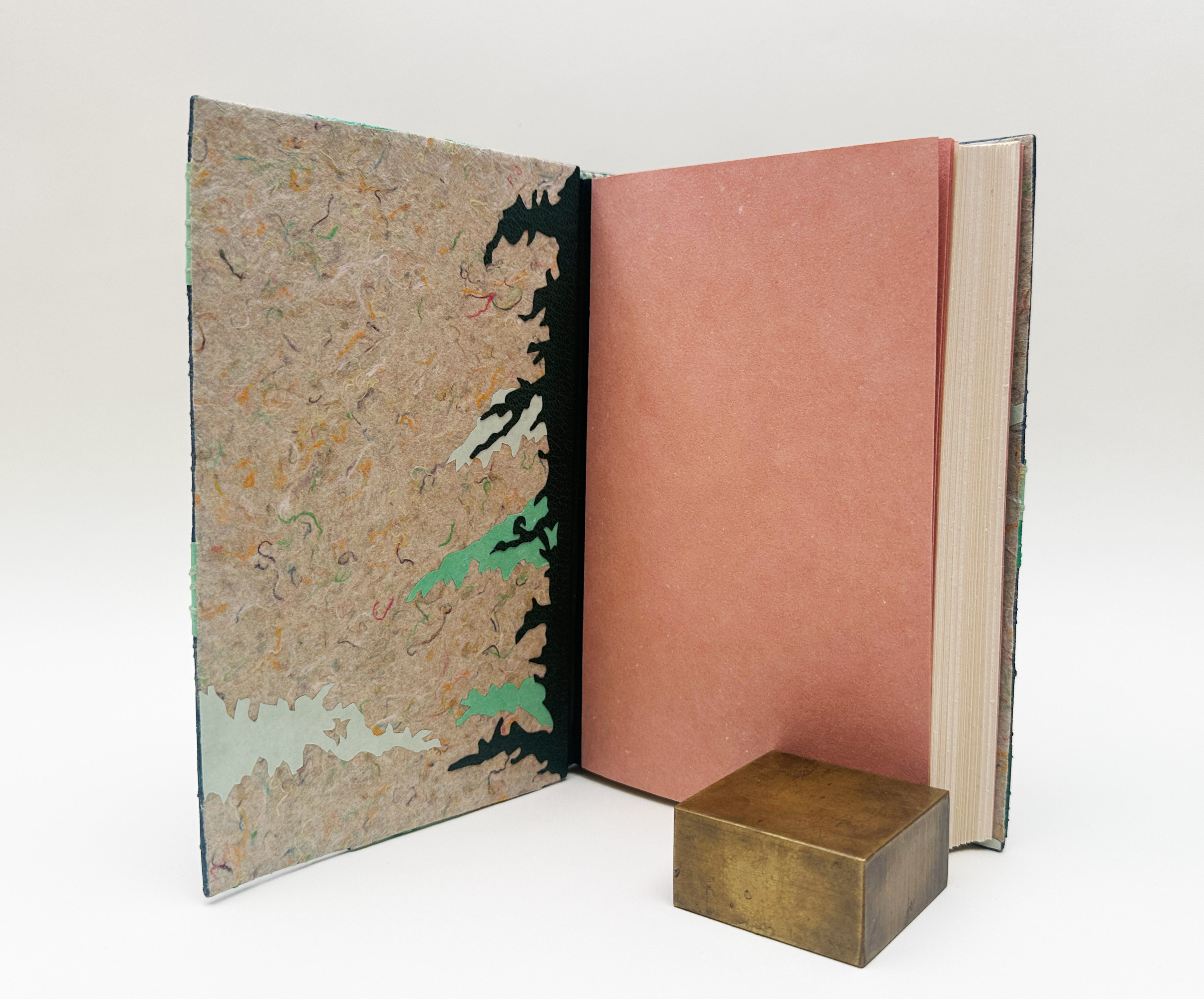 Front cover interior for Birds of Village and Field binding against a white backdrop.