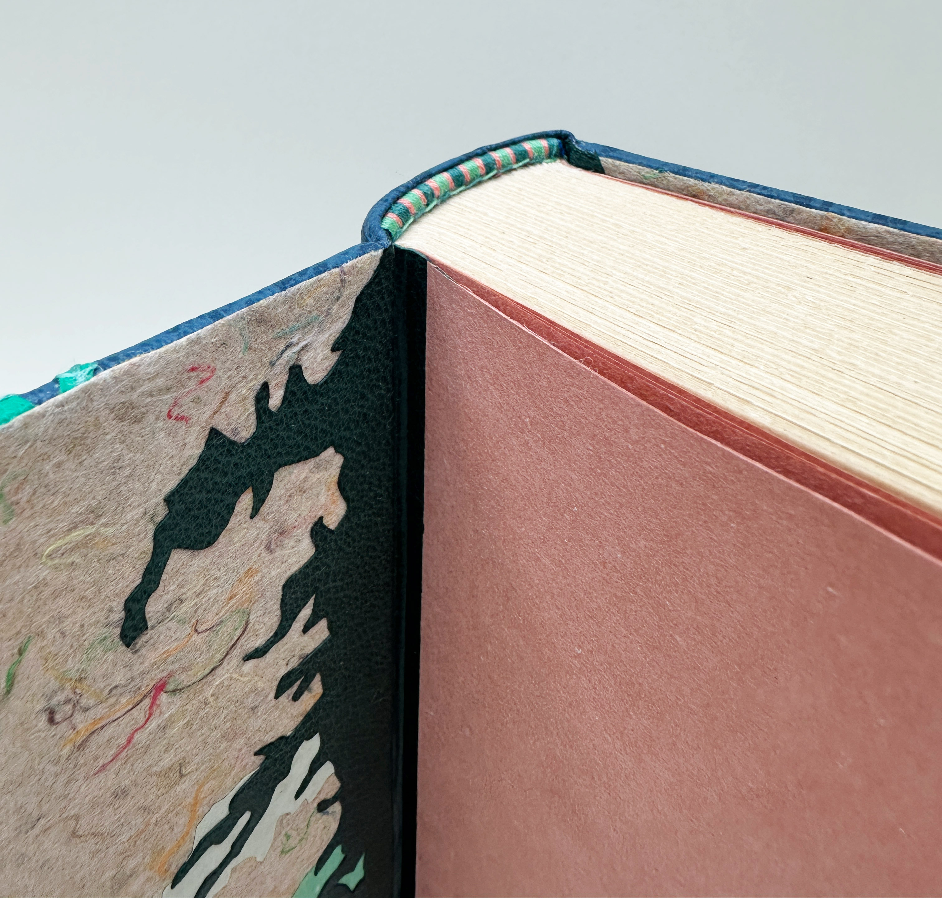 Close-up of endbands and front cover hinge for Birds of Village and Field binding against a white backdrop.