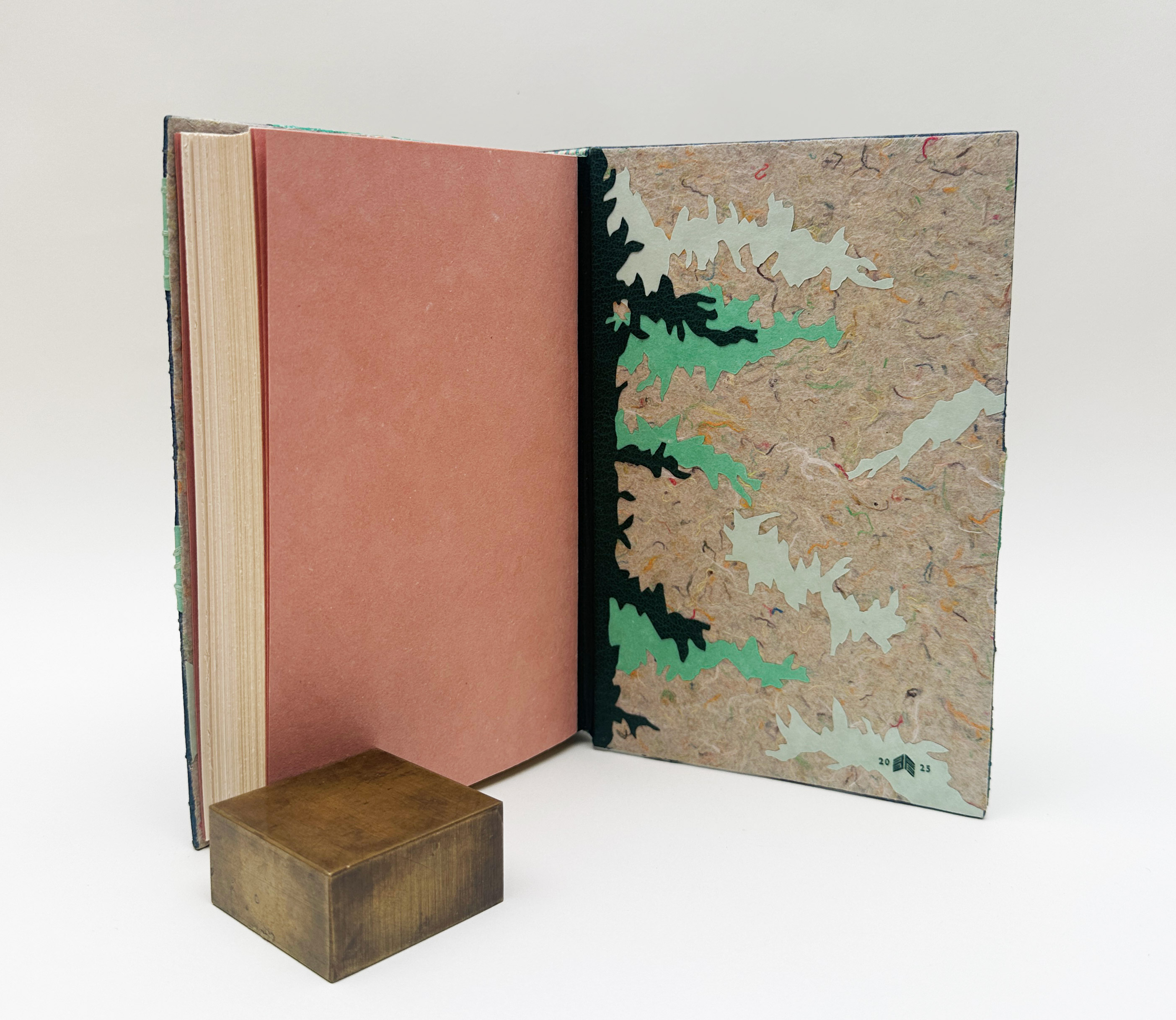 Back cover interior for Birds of Village and Field binding against a white backdrop.