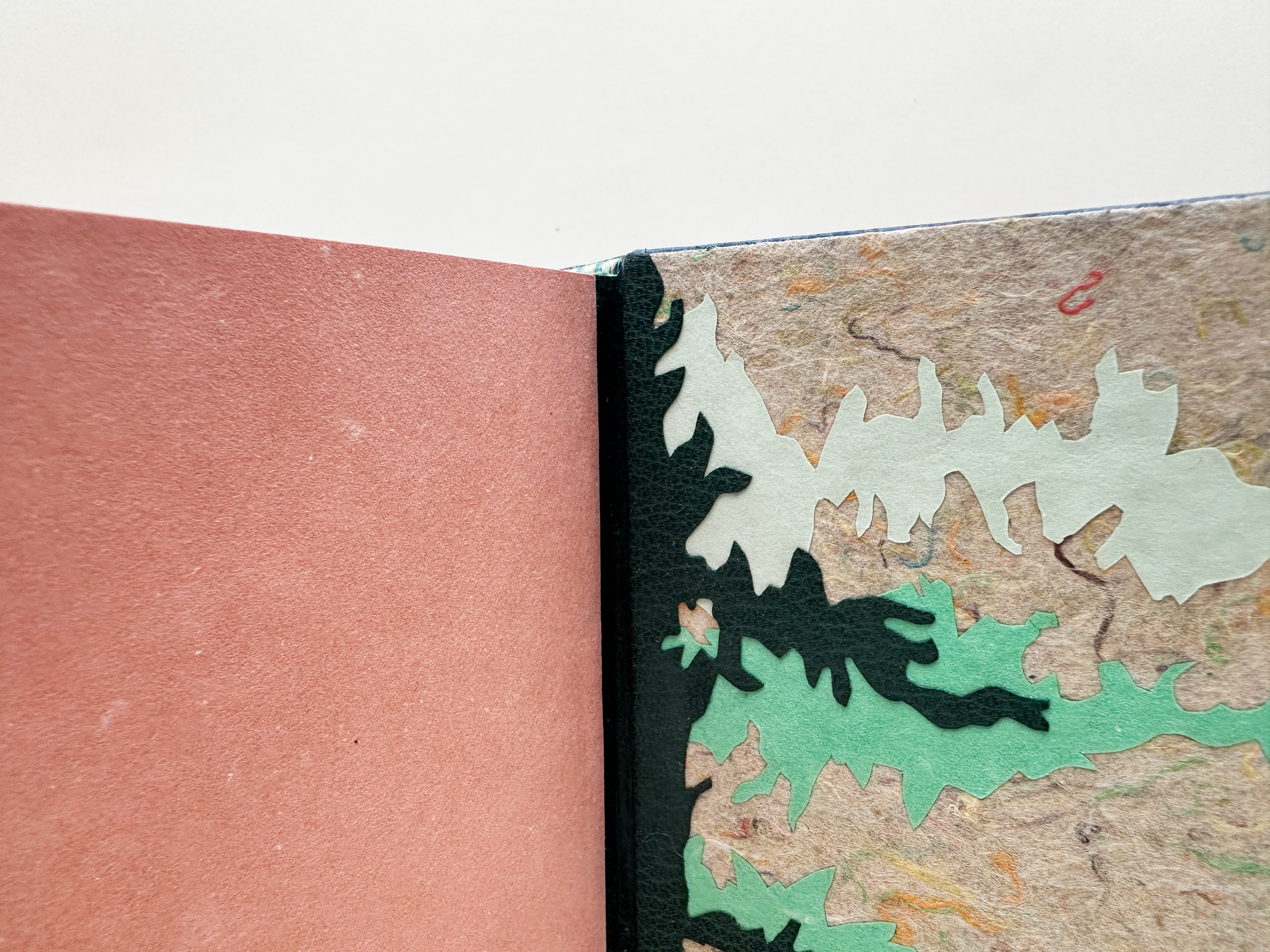Close-up of back cover interior for Birds of Village and Field binding against a white backdrop.