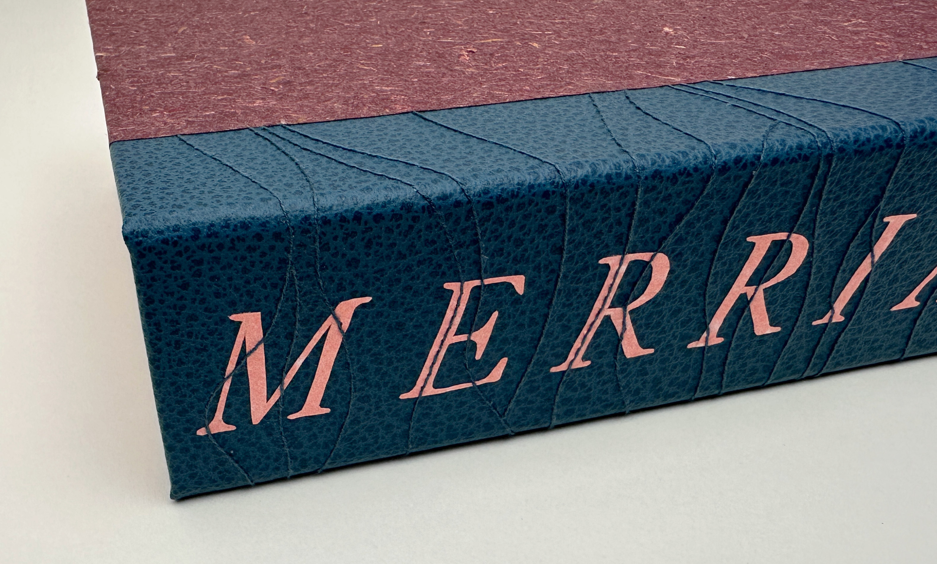 Close-up of spine of clamshell box for Birds of Village and Field binding on a white table.