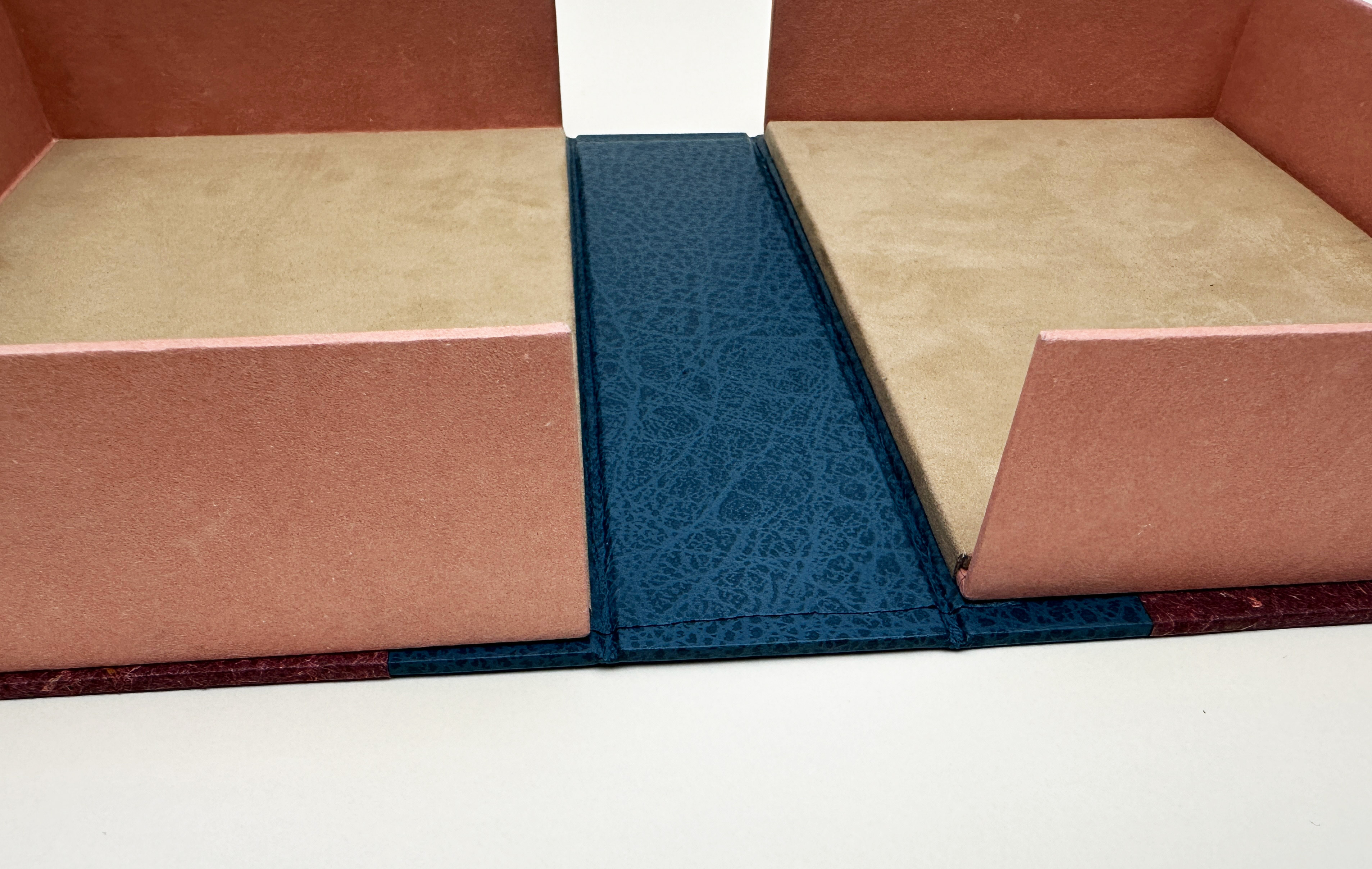 Close-up of interior view of clamshell box for Birds of Village and Field binding on a white table.