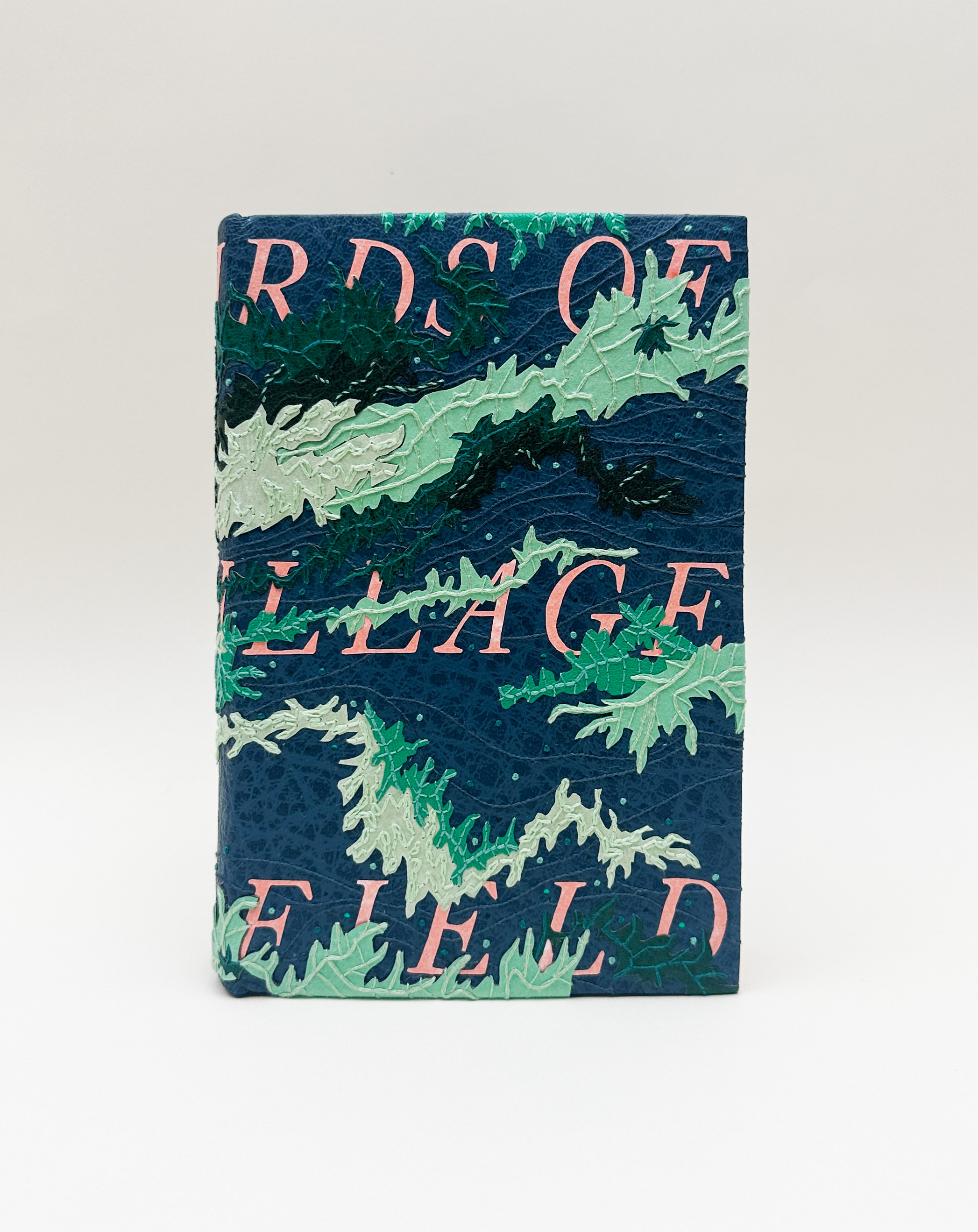 Front cover of Birds of Village and Field on a white backdrop.