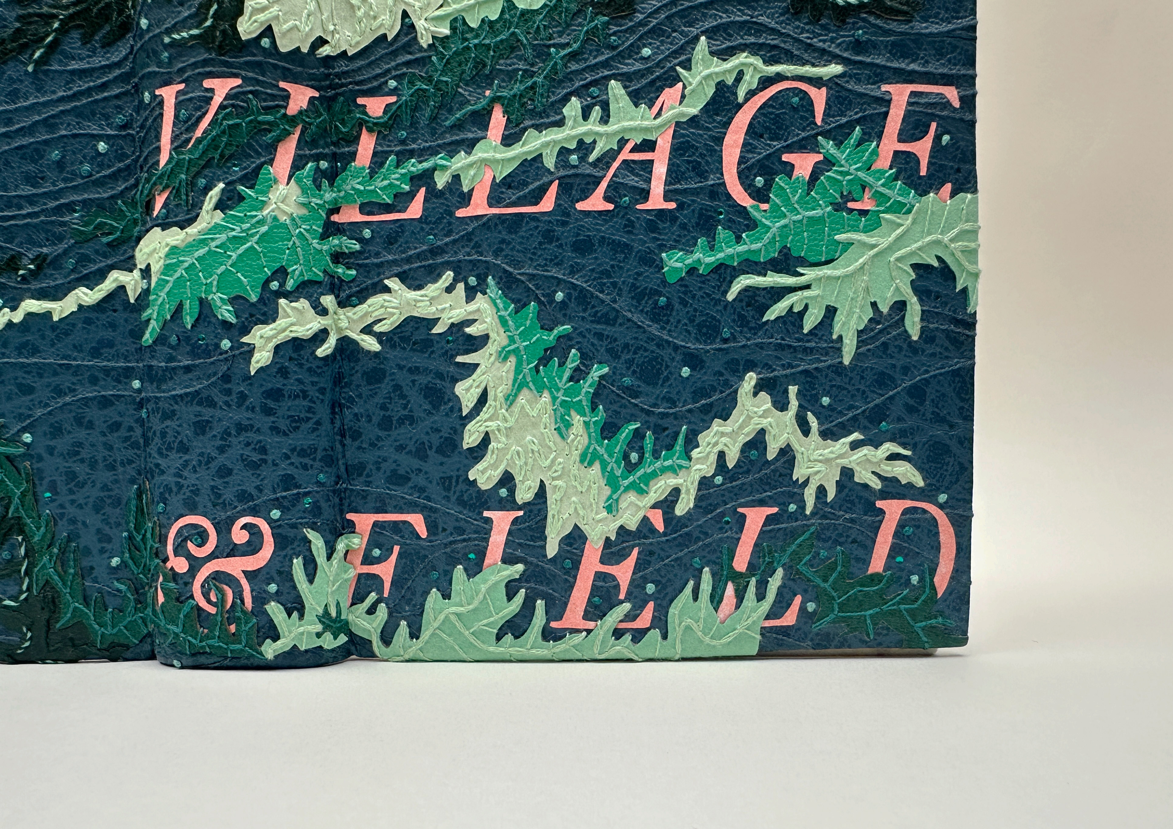 Close-up of front cover of Birds of Village and Field on a white backdrop.