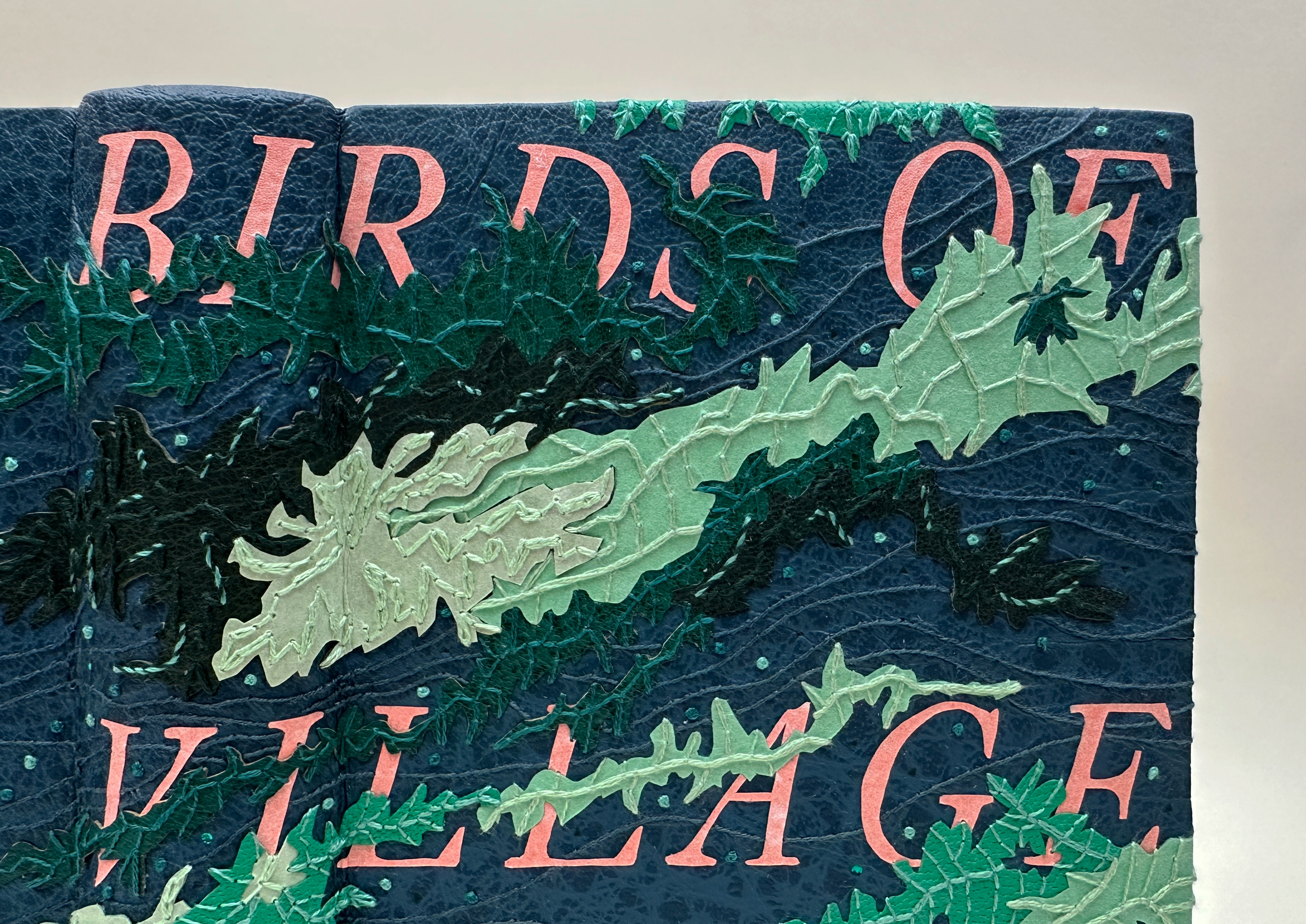 Close-up of front cover of Birds of Village and Field on a white backdrop.