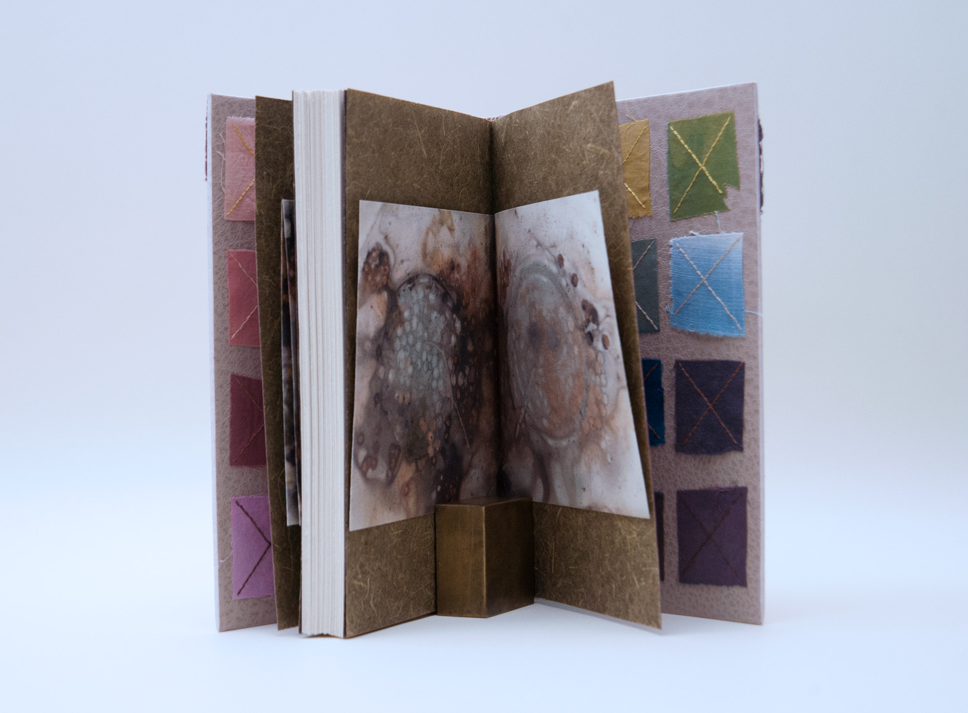 Interior of Craft of the Dyer binding on a white table.
