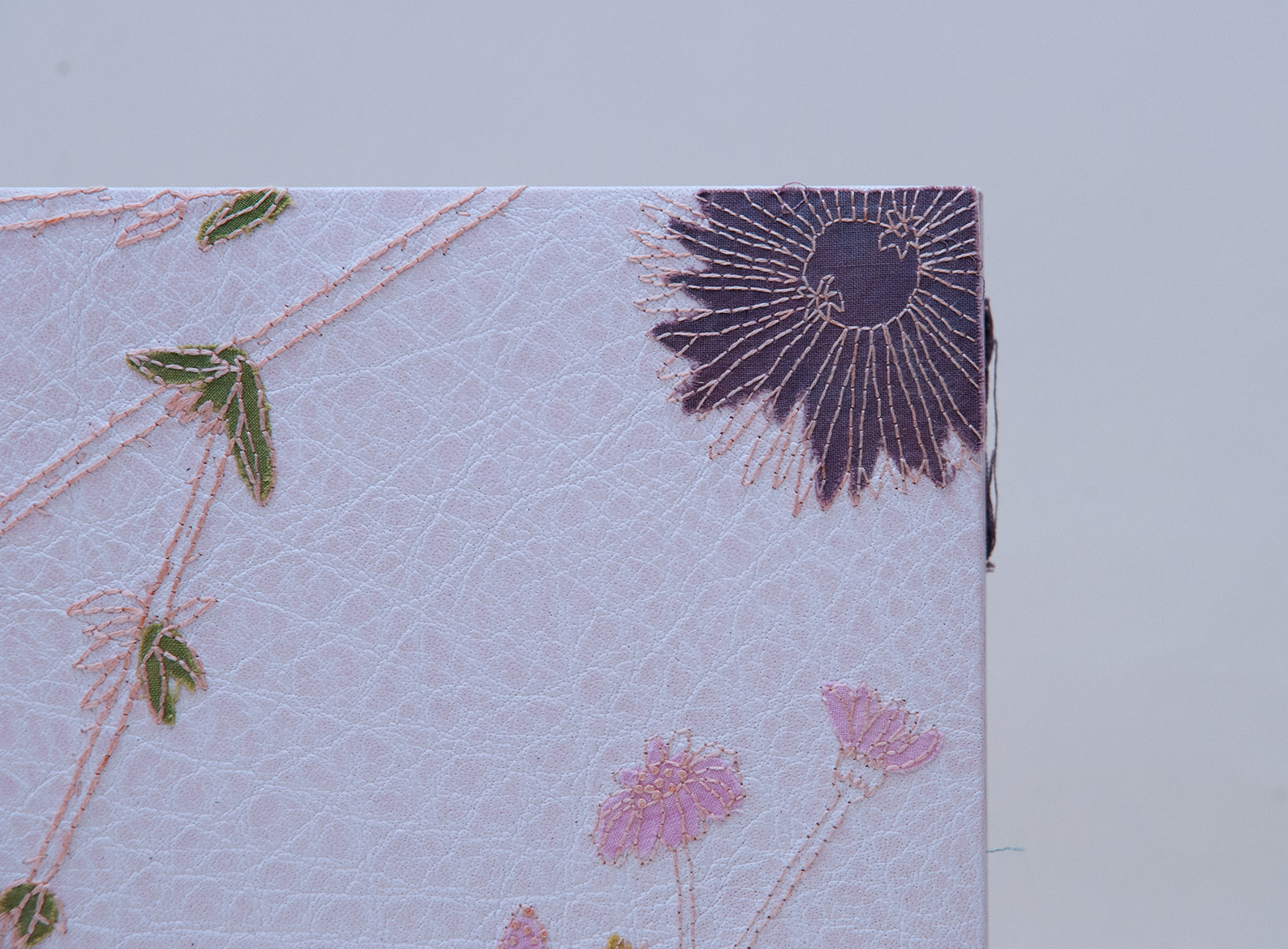Close-up of front cover of Craft of the Dyer binding on a white table.