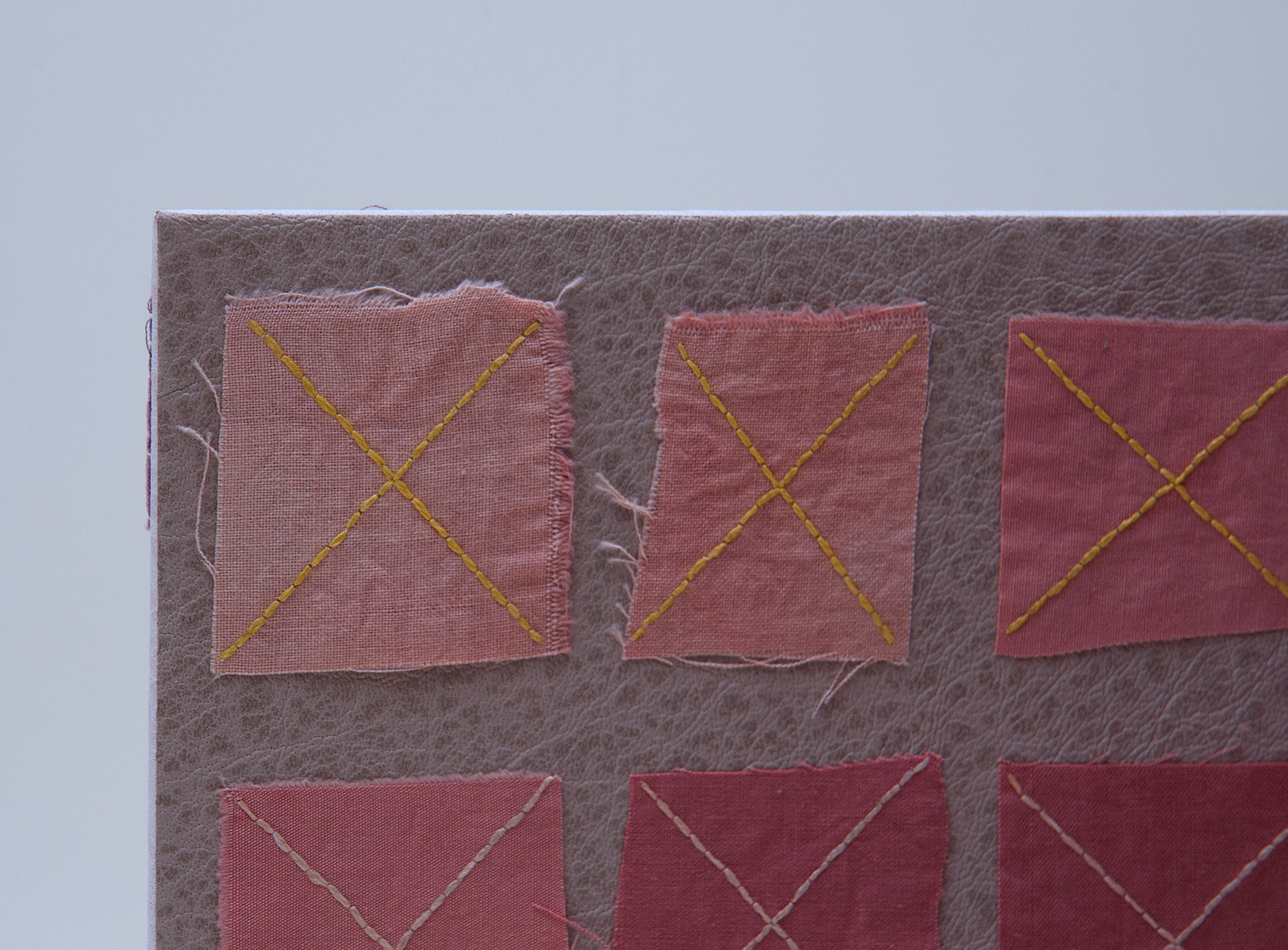 Close-up of interior of Craft of the Dyer binding on a white table.
