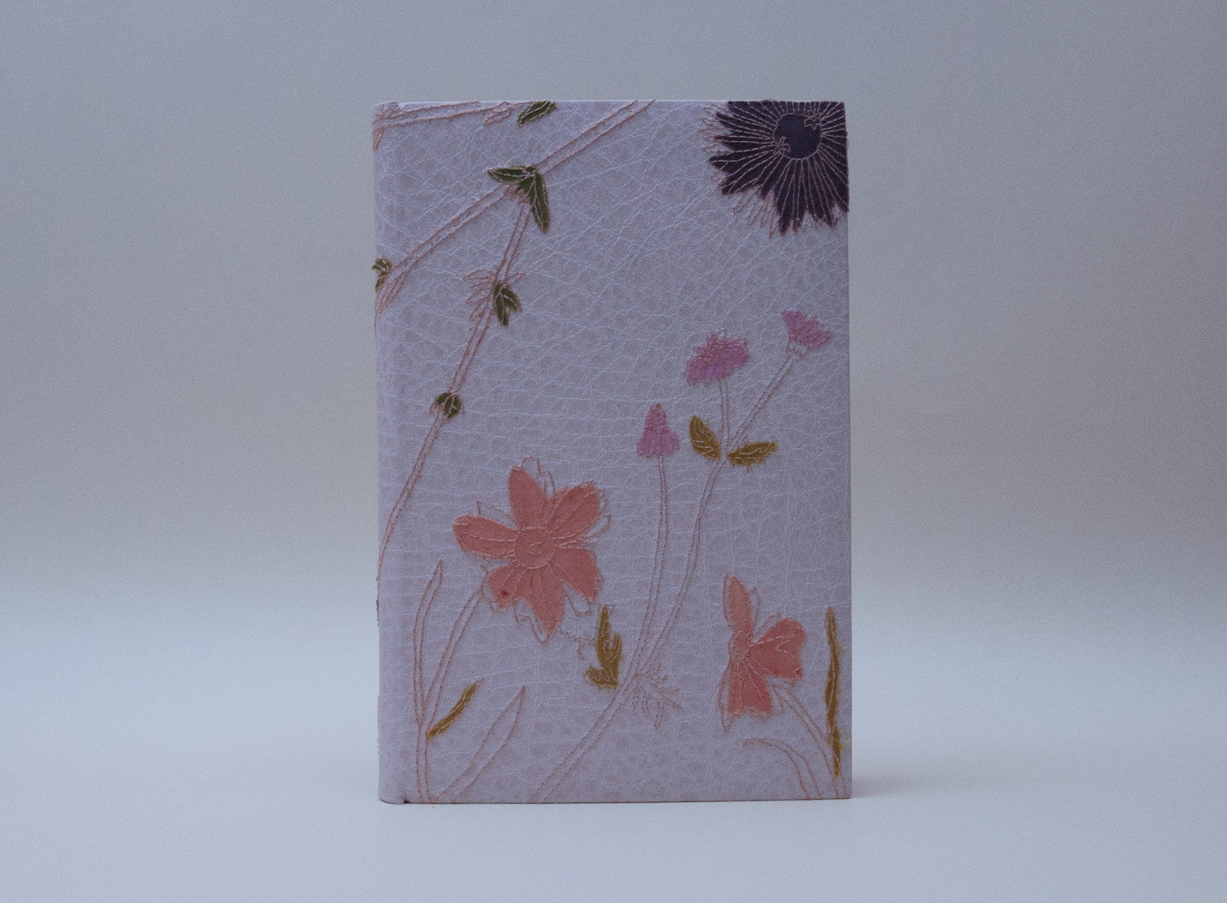 Front cover of Craft of the Dyer binding on a white table.