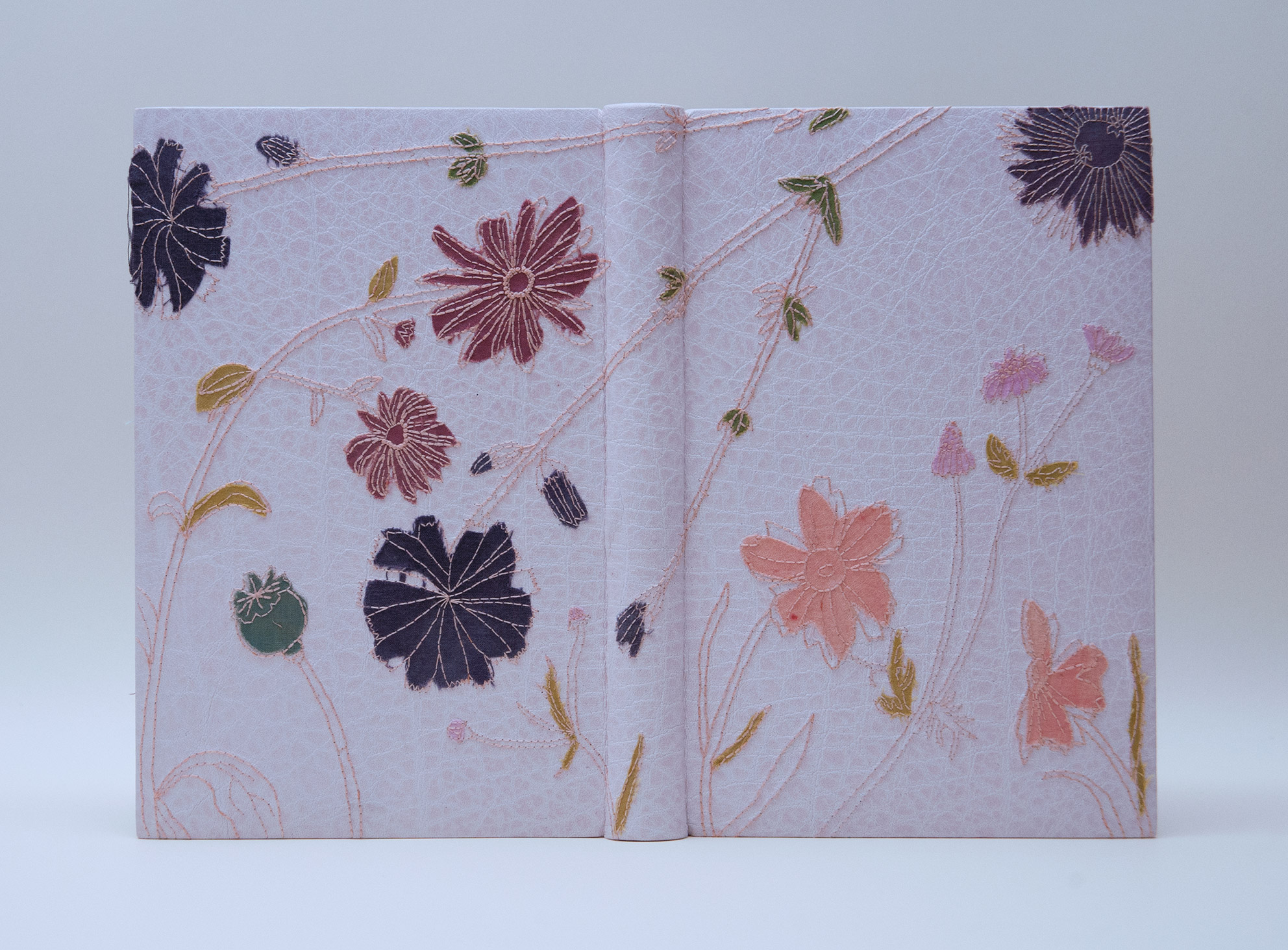 Front cover of Craft of the Dyer: Colour from Plants and Lichens of the Northeast binding on a white table.