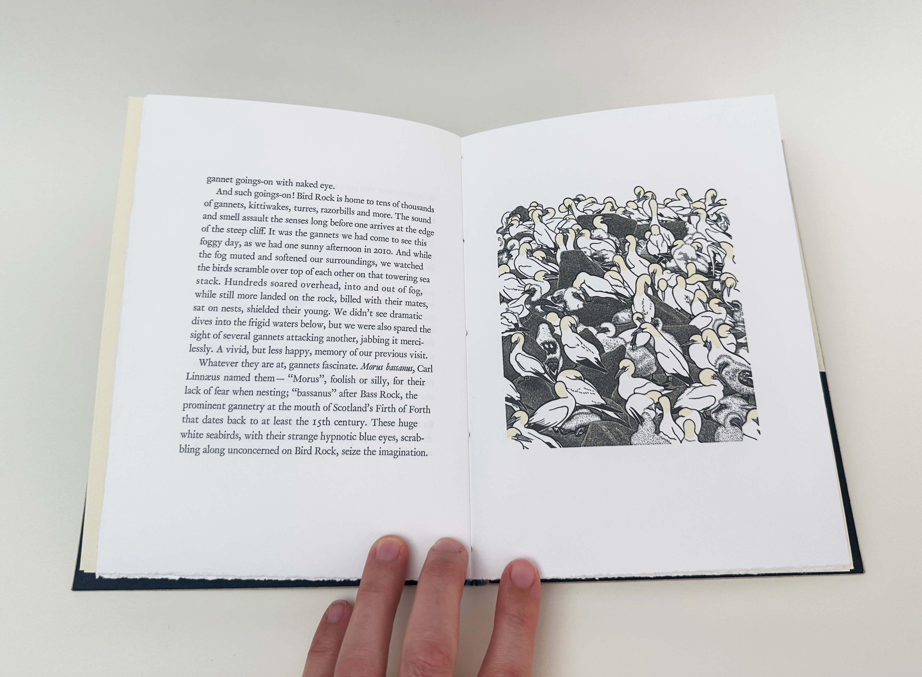 Detail of engraving from text that inspired cover for An Idea of Geometry.