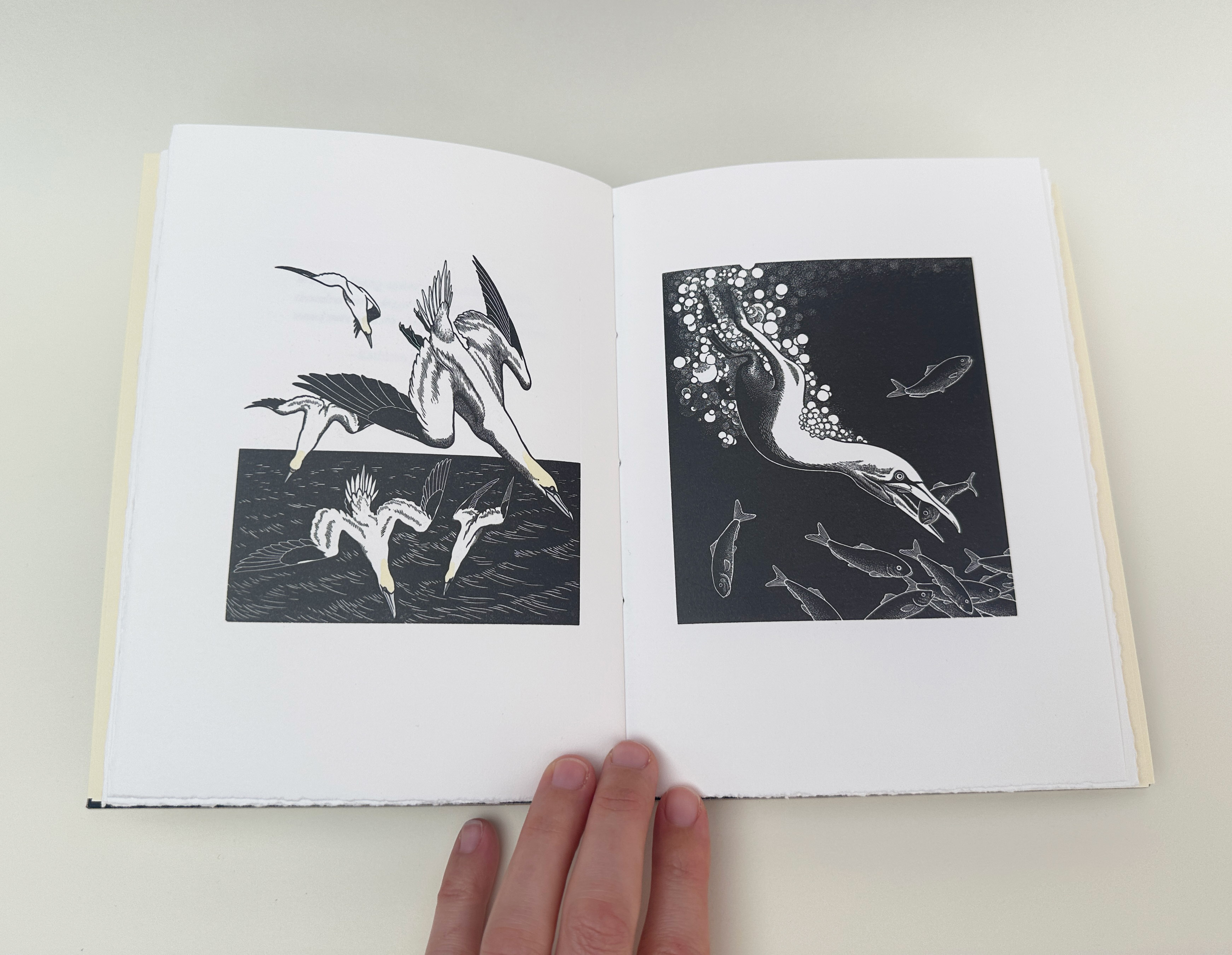 Detail of engraving from text that inspired doublures for An Idea of Geometry.