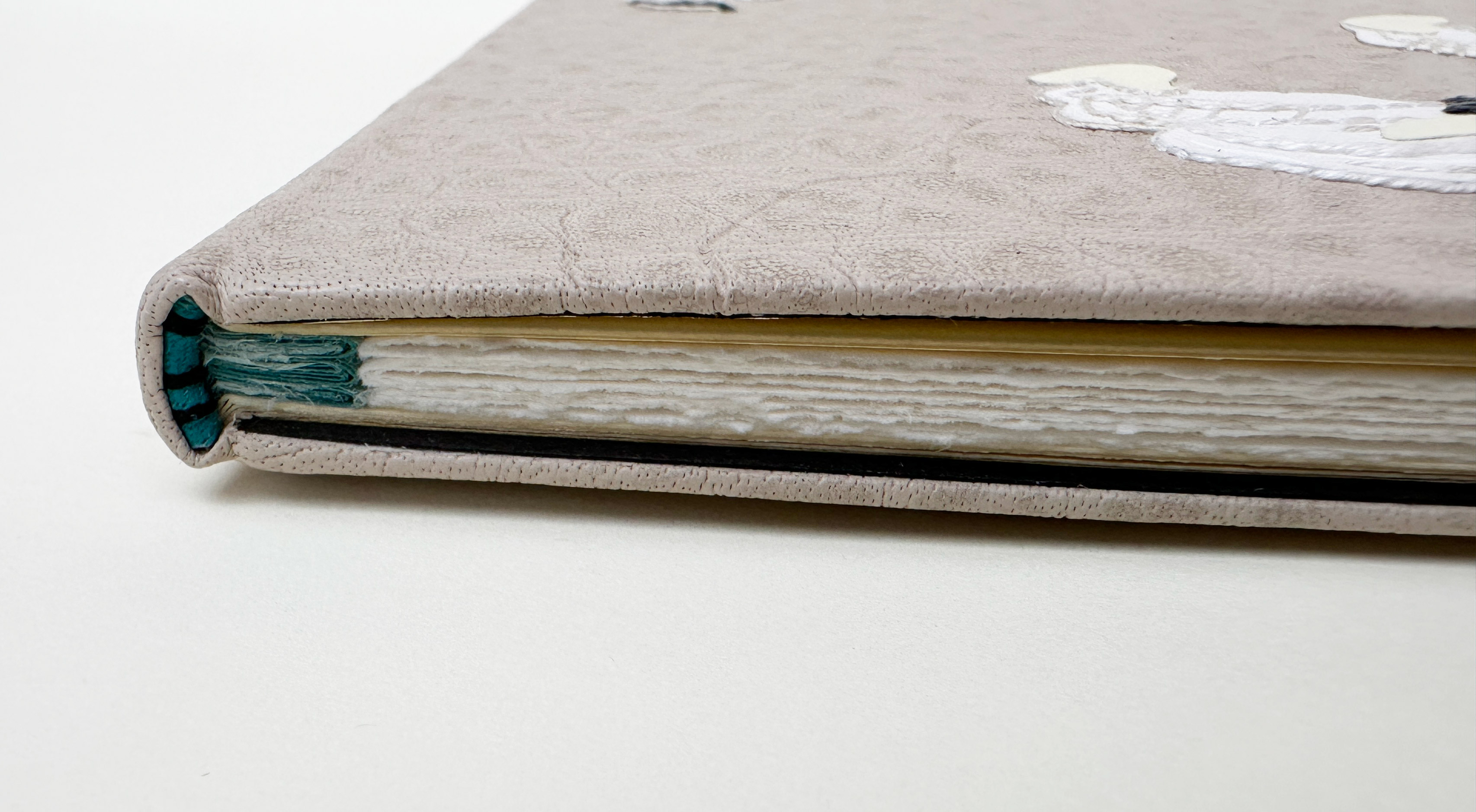 Endband detail and stubs for binding of An Idea of Geometry.