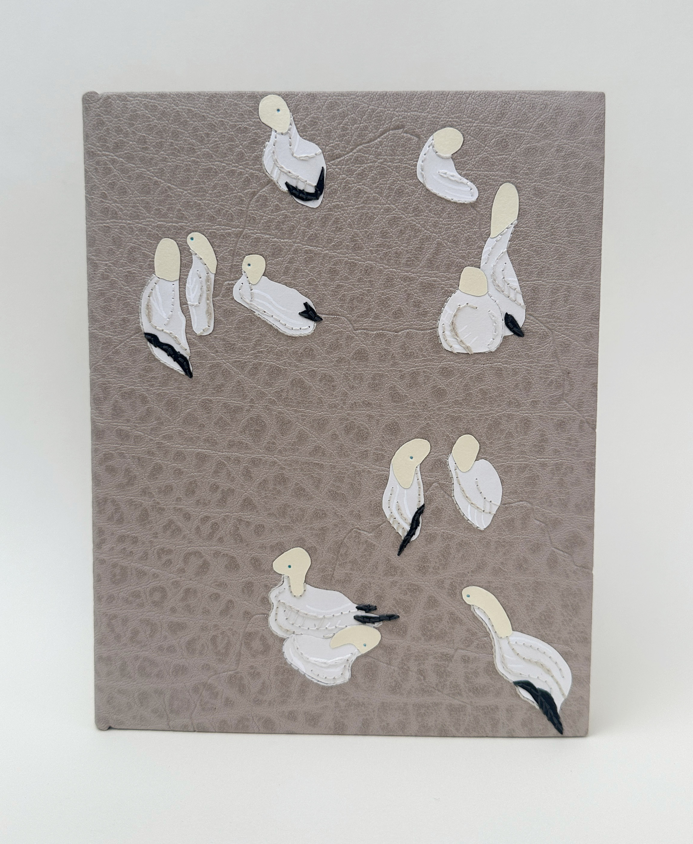 Front cover of An Idea of Geometry binding on a white table.