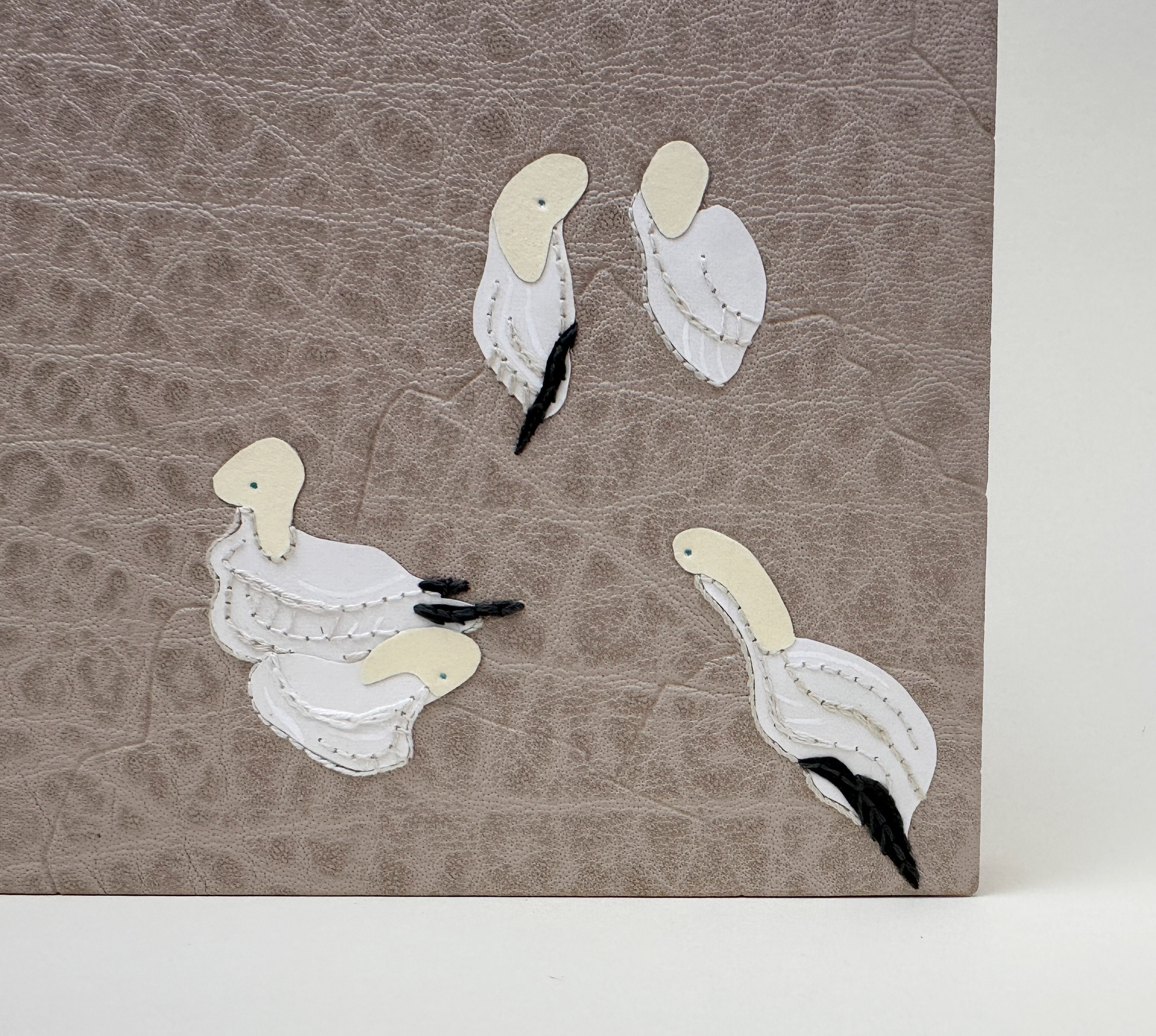 Close-up of front cover of An Idea of Geometry binding on a white table.