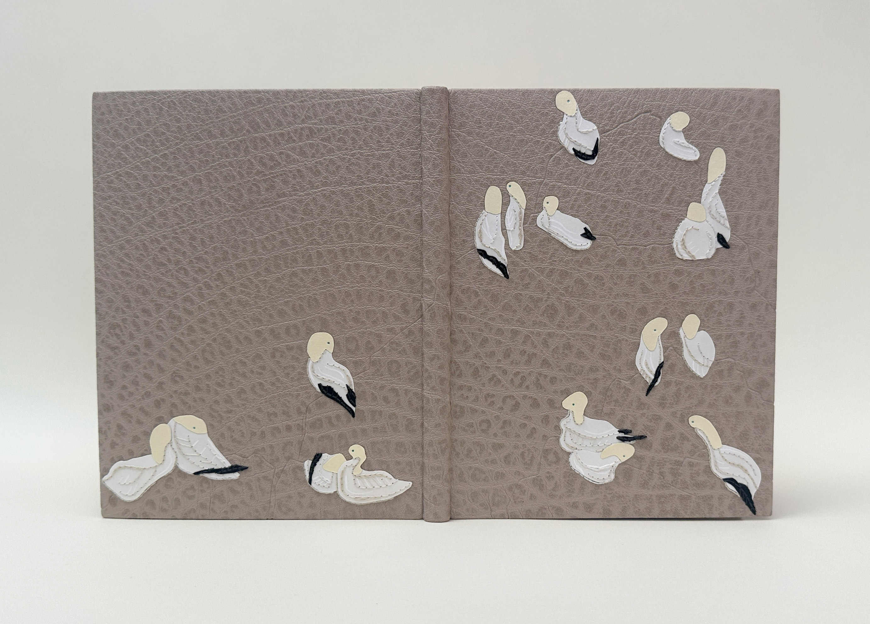 Fully open binding of An Idea of Geometry with a white background.