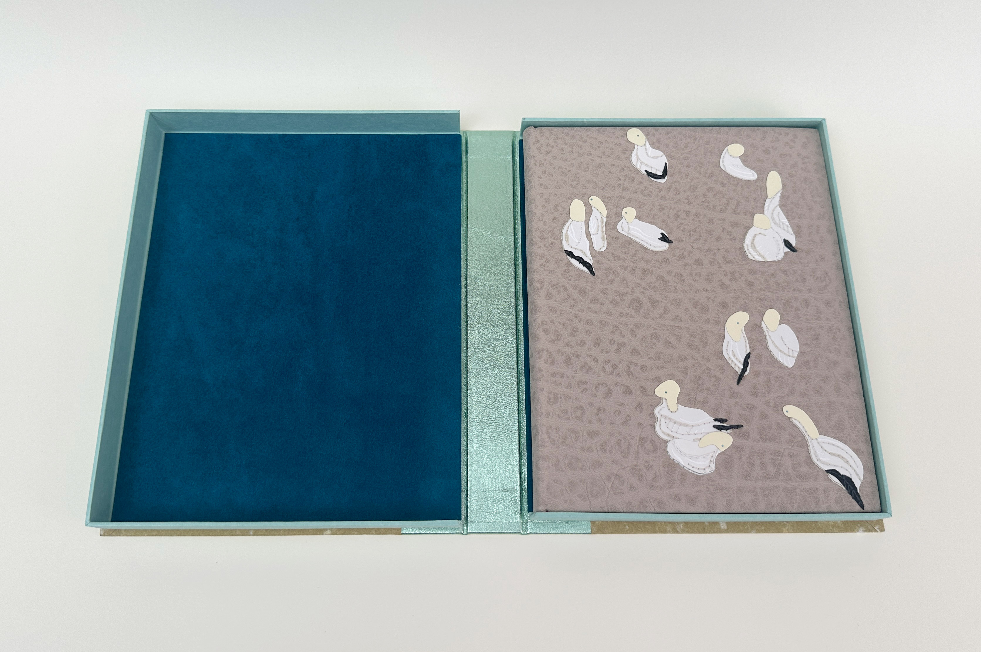 Box interior with binding of An Idea of Geometry inside on a white table.