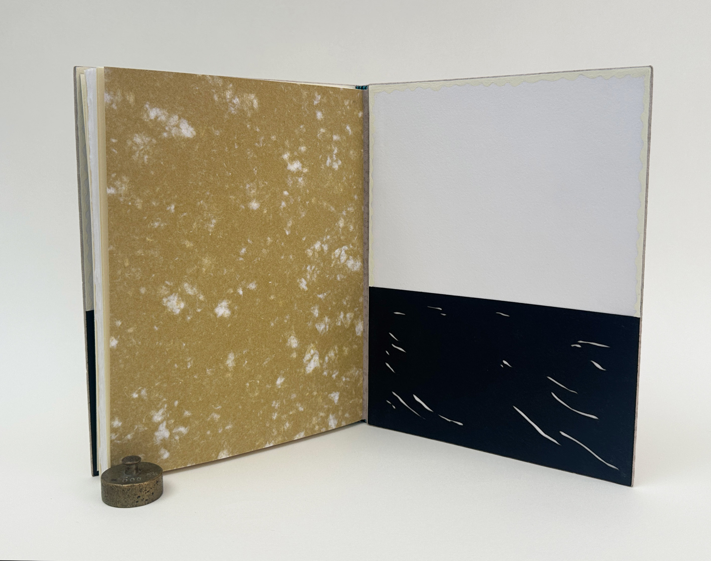 Back interior of An Idea of Geometry binding on a white table.