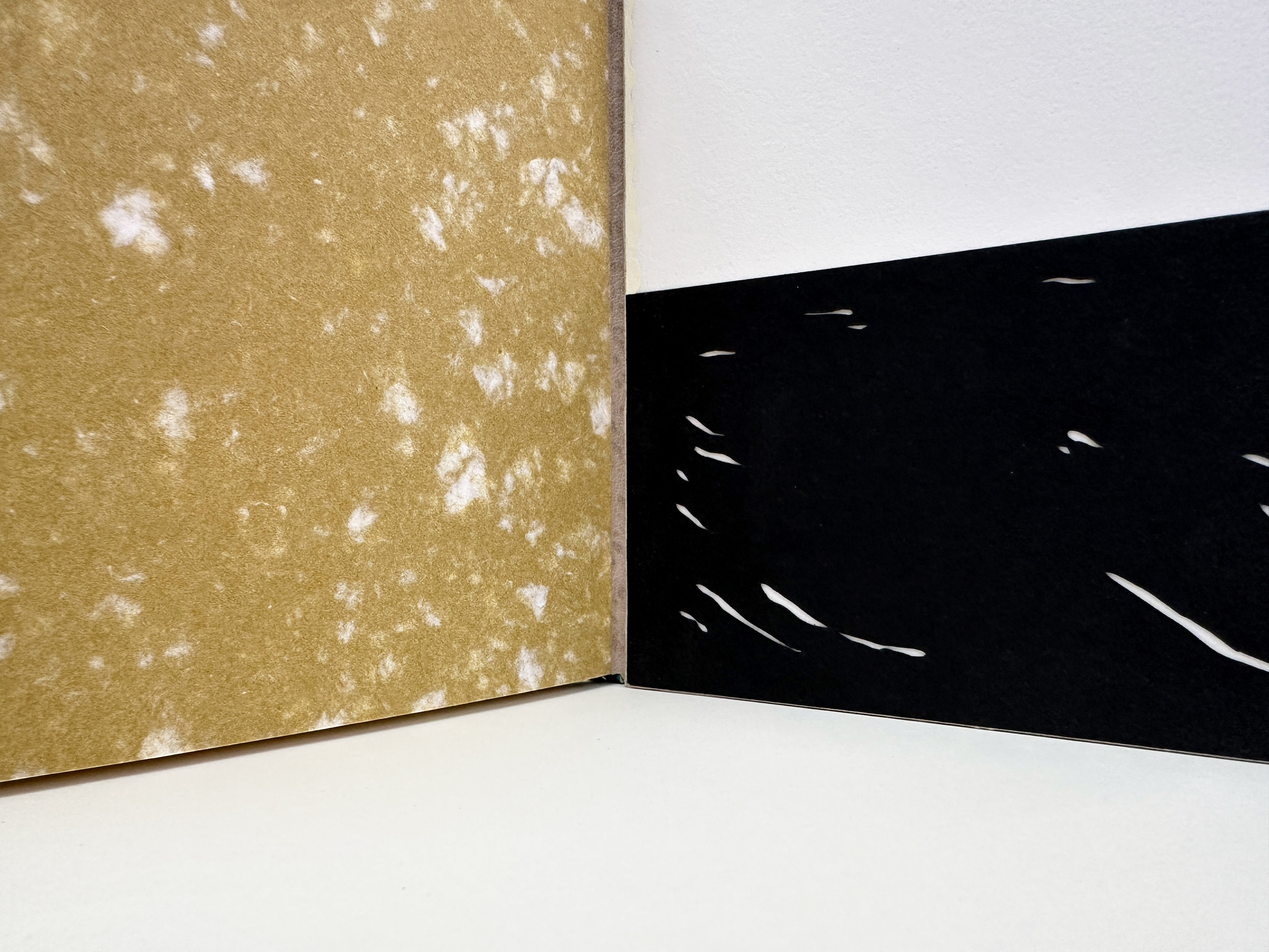 Back interior detail of An Idea of Geometry binding on a white table.