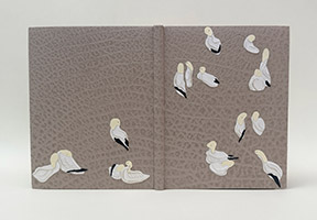 Front cover of An Idea of Geometry binding on a white table.