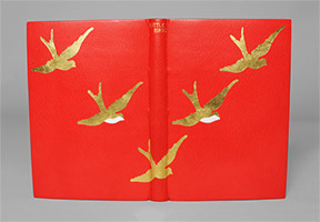 Front cover of Little Birds binding.