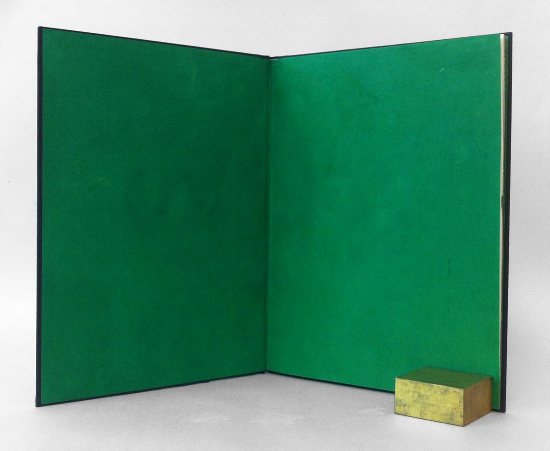Interior of The Enormous Crocodile binding on a white table.