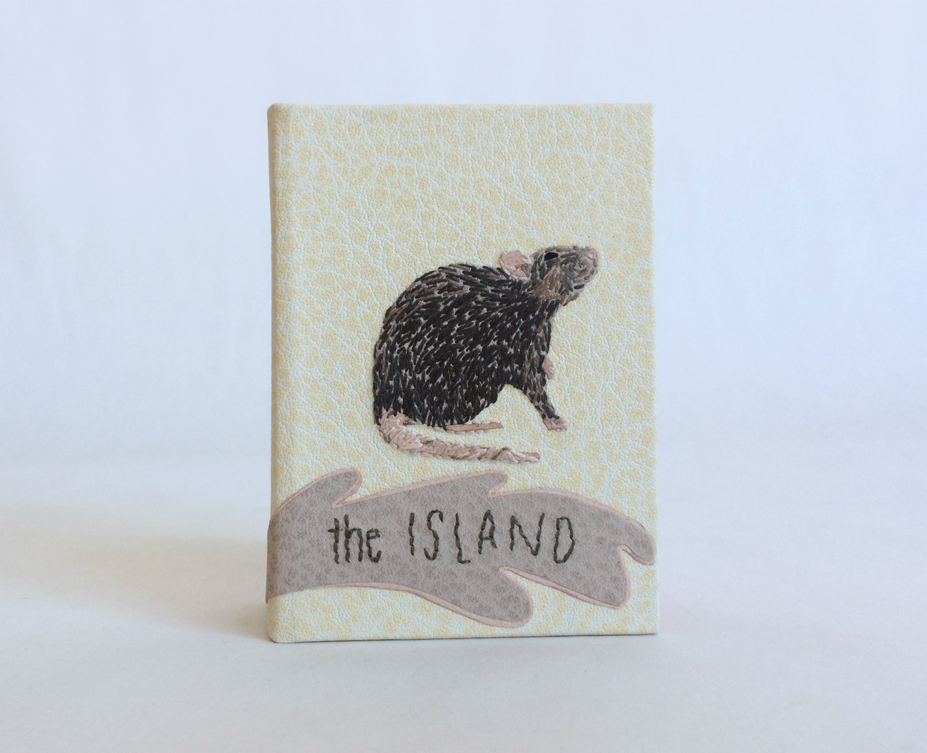 Box front cover of The Island binding on a white table.