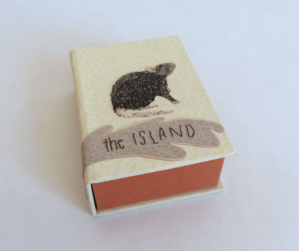 Box front cover of The Island binding on a white table.