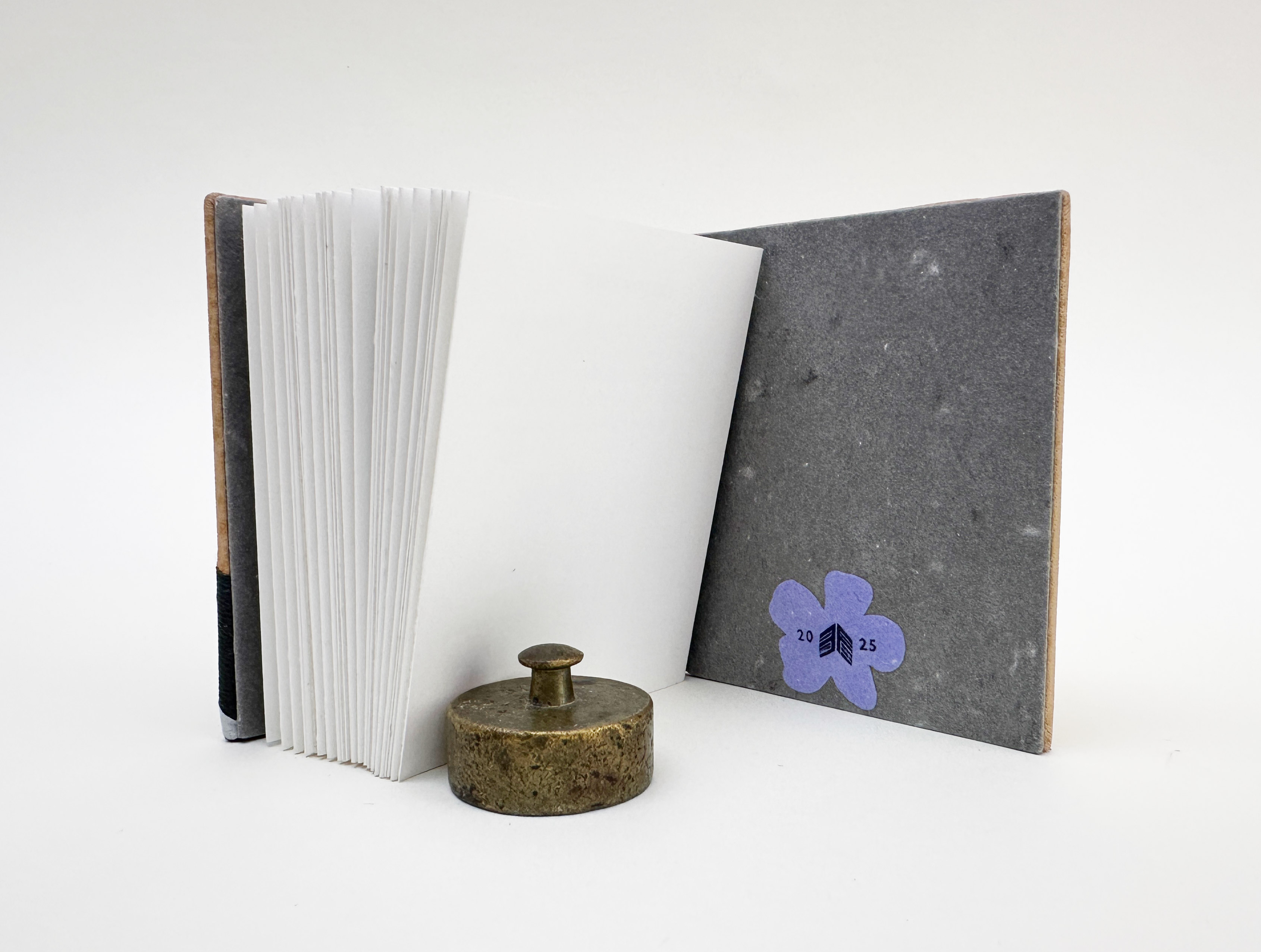 Close-up of front cover of Roadkills binding on a white table.