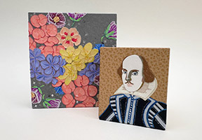 Cover of Birds of Village and Field binding on a white table.