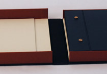 Interior of box for One Woman, One Vote binding.