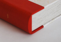 Spine of box for L'Homme Revolte binding.