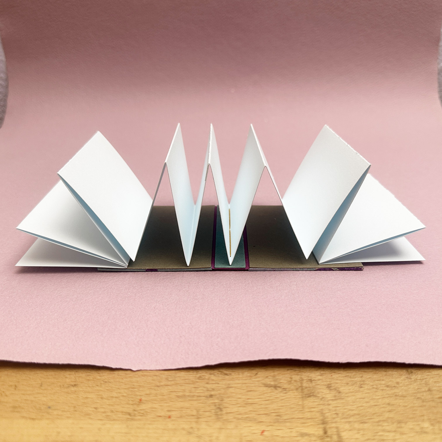 Case is flat on paper backdrop with accordion text block unfolded.