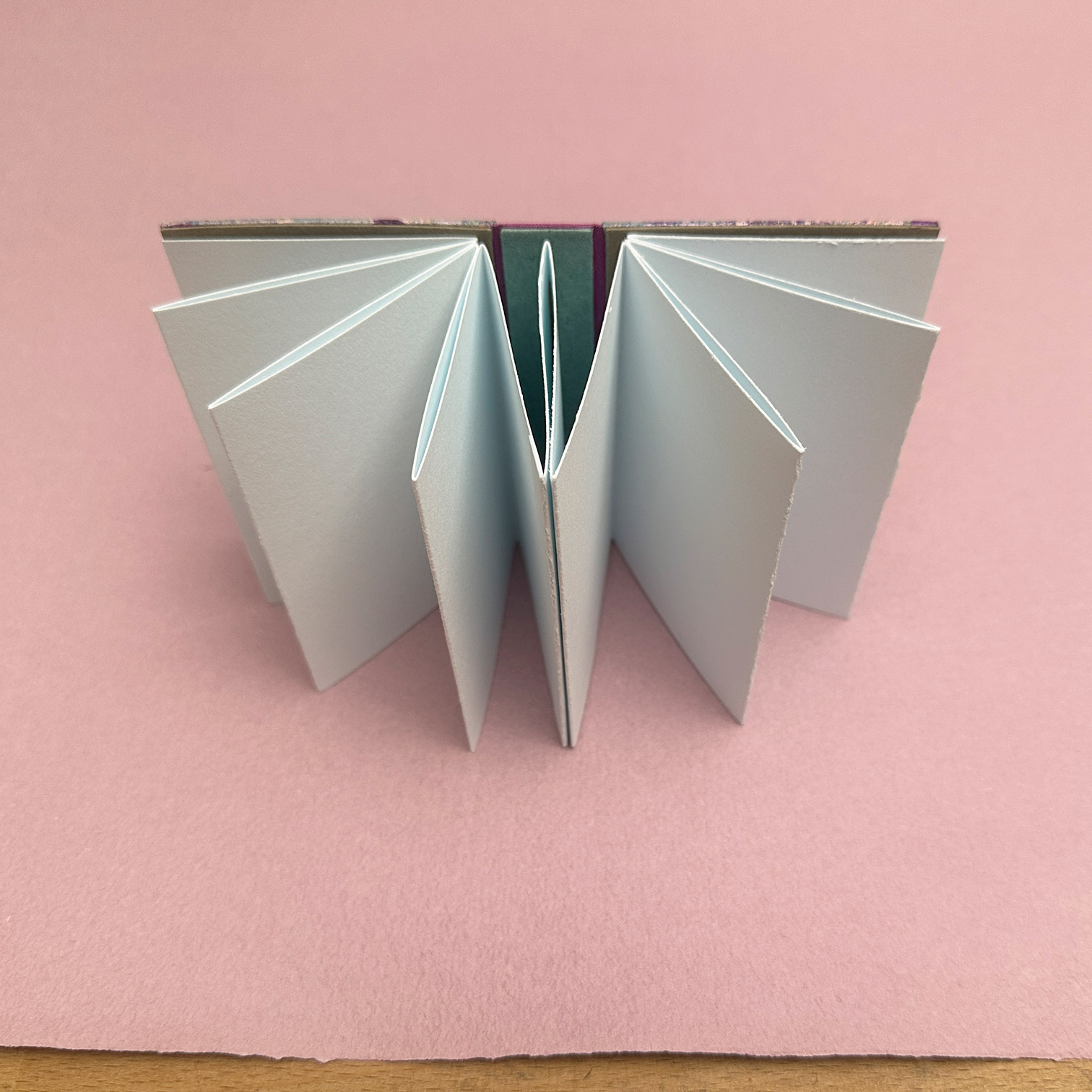 Book opened flat, standing on its tail with accordion slightly unfolded.