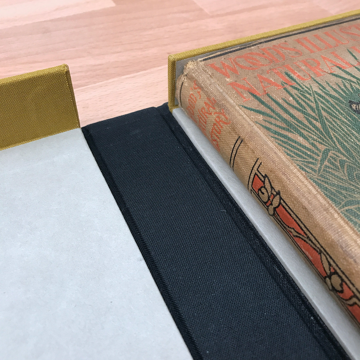 Up-close on the interior of a Clamshell box.